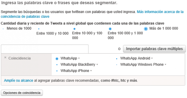 Palabras clave definidas para la campaña de Twitter Ads