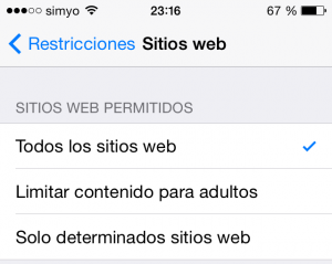 Tipos de restricciones a páginas web