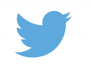 Logotipo oficial de Twitter a partir del 5 de junio de 2012