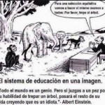 El sistema de educación en una imagen....