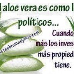 El aloe vera es como los políticos... Cuanto más los investigas, más propiedades tienen...