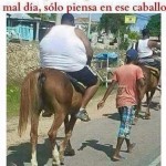 Cuando pienses que tienes un mal día, piensa en ese caballo