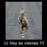 ¡Hoy es viernes!