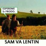 Espéreme, Sr. Frodo... Sam va lentín...