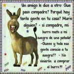 El burro...