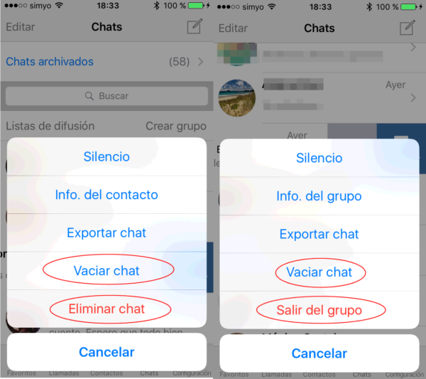 Cómo borrar chats de WhatsApp en iPhone de un contacto y de un grupo de WhatsApp