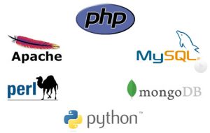 PHP, Apache, MySQL, MongoDB, Python