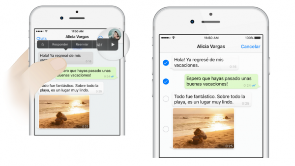 Cómo borrar chats de WhatsApp en iPhone de un contacto