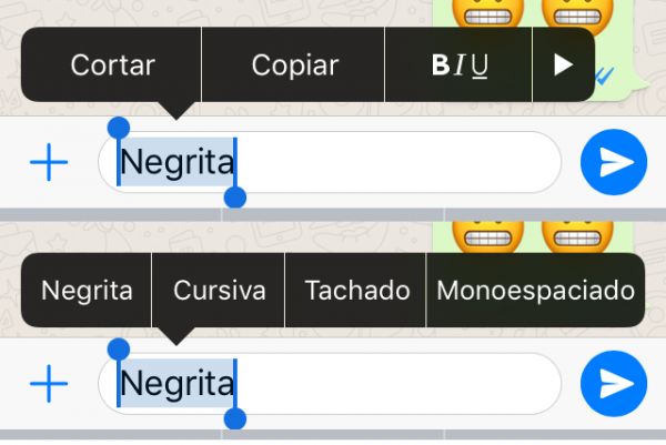 Selección de Negrita, cursiva, tachado y monoespaciado en WhatsApp para iPhone